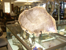 Load image into Gallery viewer, Petrified Rock - Sold Out of Stock

