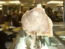 Load image into Gallery viewer, Petrified Rock - Sold Out of Stock

